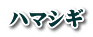 ハマシギ