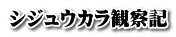 シジュウカラ観察記