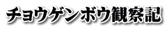 チョウゲンボウ観察記