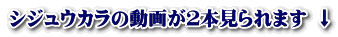 VWEJ̓悪Q{܂ 