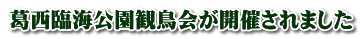 葛西臨海公園観鳥会が開催されました