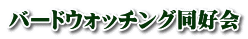 バードウォッチング同好会