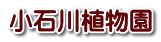 小石川植物園