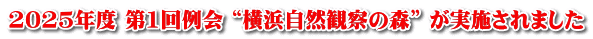 2025年度 第1回例会 “横浜自然観察の森” が実施されました