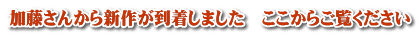 加藤さんから新作が到着しました　ここからご覧ください