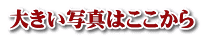 大きい写真はここから