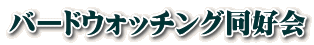 バードウォッチング同好会