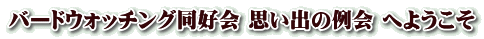 o[hEHb`OD vo̗ ւ悤 