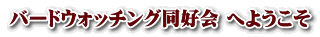 バードウォッチング同好会 へようこそ