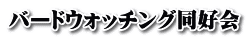 バードウォッチング同好会