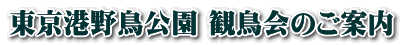 `쒹 ϒ̂ē