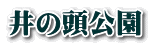 ̓