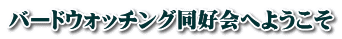 バードウォッチング同好会へようこそ