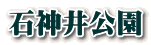 ΐ_