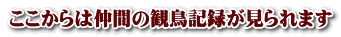 ここからは仲間の観鳥記録が見られます