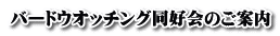 バードウオッチング同好会のご案内